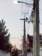 27451