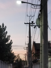 27451