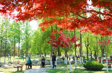 《春日公园》