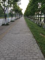75851