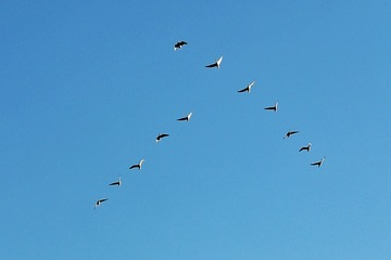 1643654