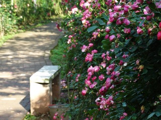 200655