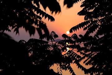 30895226-B1E3-441C-A74F-B42124A8A7E1/L0/001