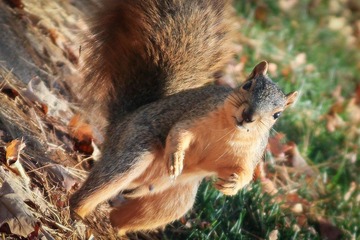 IMG_4065.jpg