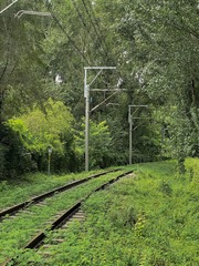 3A127FF7-1630-48B2-BCF5-99709155673B/L0/001