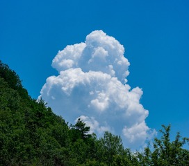 C547641A-661F-4A0C-9E80-C39D765FDB4E/L0/001
