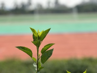 7A1B3C4A-9AB3-45AB-BBD4-6CD7C167DD6E/L0/001