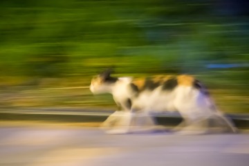 1242179