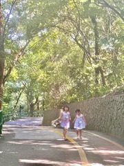 C95BC43E-587B-4303-88A0-D2822E3A69ED/L0/001