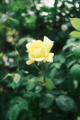 8E078997-55E1-4B79-8D45-1D1858AF45B6/L0/001
