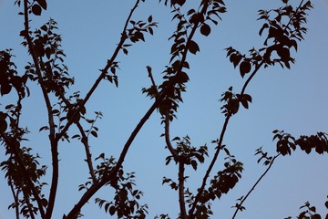E712AD1D-1695-45C3-894B-7003A1A5220F/L0/001