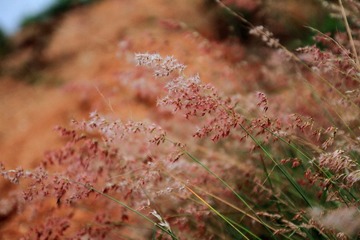 IMG_7404.jpg