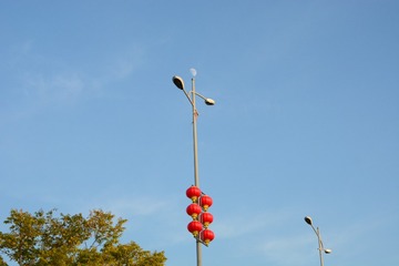 116247