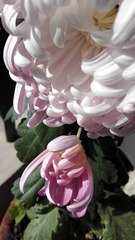 F078B39E-1944-4DA2-B554-08E43C5BFB68/L0/001