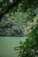 14F716DD-2F12-4390-BE66-9E45F4032858/L0/001
