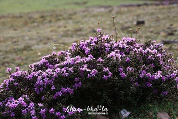 IMG_9468.jpg
