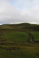 IMG_9453.jpg