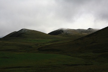 IMG_9456.jpg
