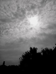 97160F0D-DF74-4CAE-B85A-0289C57DE75D/L0/001
