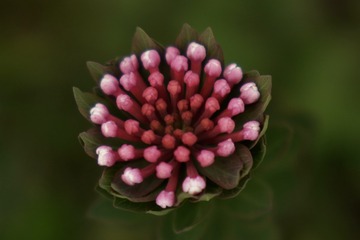 7CA9C25F-DCAF-45FC-9F70-B524BB3C31F3/L0/001