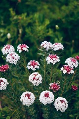 855F20B4-FBC7-45BA-A807-EA25C5DE0B98/L0/001