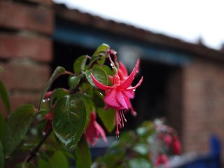 P1000863