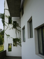 P1020145
