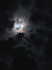 A221A2CF-CB91-4799-8CF9-FE6A0BEB0992/L0/001
