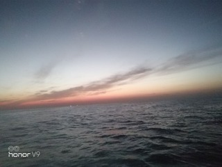 2381429