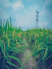 48BA338E-9DB4-4ED0-8F4E-DA012FF0FC0B/L0/001