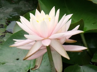 DSCF1483