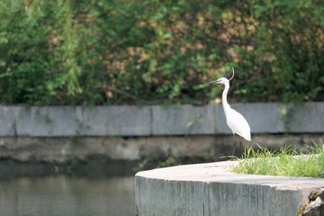 02E36E72-57BB-4612-82F5-87B0BA5CBD4E/L0/001
