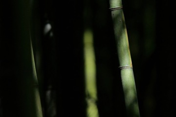 CFF68C84-F2B2-465E-A5A7-B26987D1F15A/L0/001