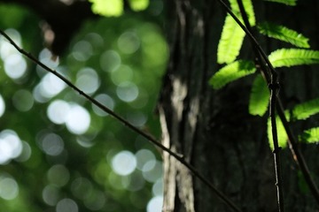 686458FC-0DA7-49CC-A0CC-FEEEF1CEA533/L0/001