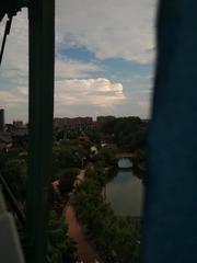 1606247