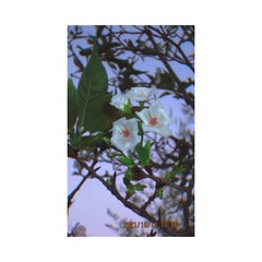 4FE94110-C9B1-400A-A519-2CBF181ACDB4/L0/001