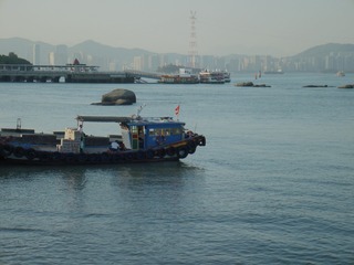 3955422