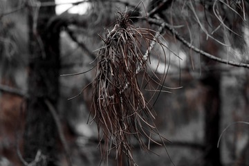 FA37185C-DCEB-4C14-922A-82BD00469DCE/L0/001