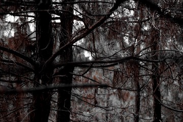 4FBC8D48-0873-4B26-BCFD-BDC0218CE3C3/L0/001