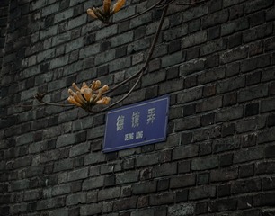 224736