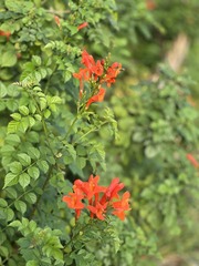 B4731ACD-A1C2-4220-981E-7689DCEE04E5/L0/001