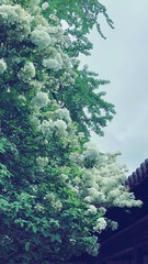 6232B60D-C8B2-4B2F-BCE8-6EB0C8152076/L0/001