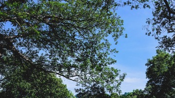 7DE9E26E-62EA-475F-90B2-F2368CB84745/L0/001