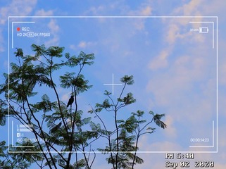 23B3EC1D-0B79-4D39-81A5-6E4C80B1A3C5/L0/001