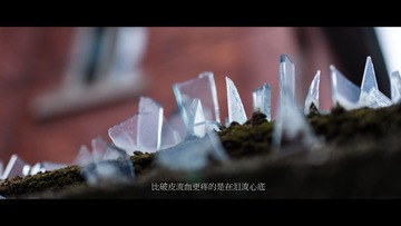 DSC_8621-编辑