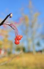 EAEB52B5-3D57-46F1-BD74-DDD2E464E809/L0/001