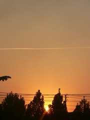 C5883882-7F0B-4C55-88C1-35080C5C0E8D/L0/001