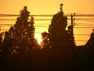 01B88799-CED9-4B29-8A67-AE1907326481/L0/001