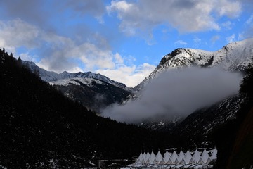 DSC_8625
