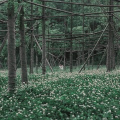 41F5EEEE-C7C7-49AE-B90D-C7DFF9794D5B/L0/001